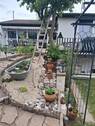 Gartenimpression - 