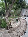 Gartenimpression - 