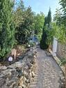 Gartenimpression - 