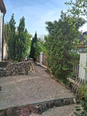 IMG-20260408-WA0006.jpg - 