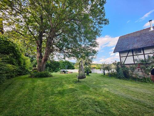 Garten - 