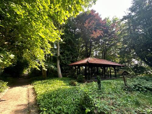 Pavillion - 