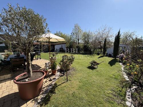 Blick in den Garten - 