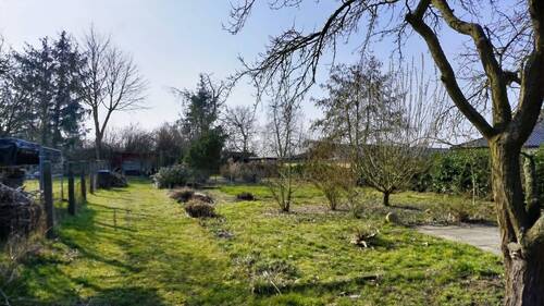 Gartenfläche hinter dem Haus - 