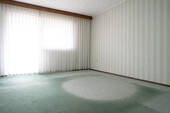 HSP_1939 - 