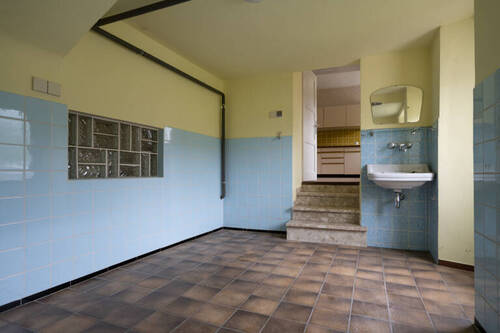 HSP_1919 - 