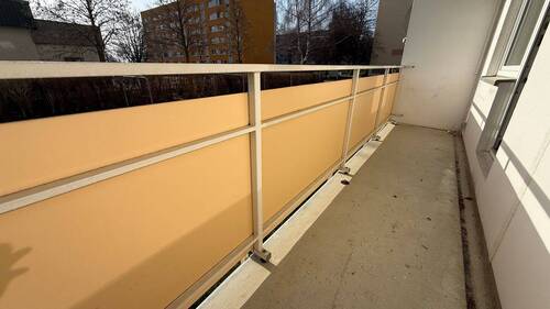IMG_6687 - 
