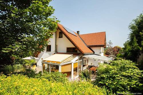 Garten hinter dem Haus - 