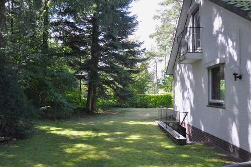 Blick in den seitlichen Garten - 