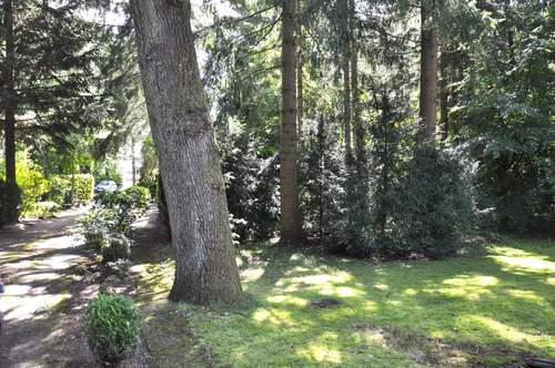 Zufahrt, Garten mit Bäumen - 