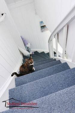 Treppe ins OG (auch ohne Katze) - 