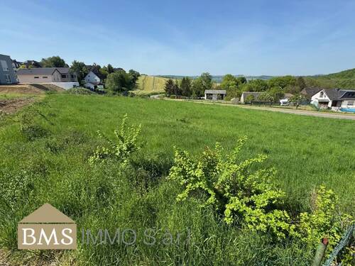 Bild 2 - Grundstück zum Kaufen in Ralingen