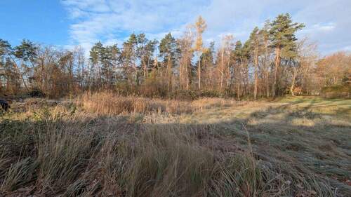 Blick nach Westen - EIN GUTER GRUND - BAUPLATZ in Eltersdorf.