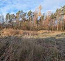 EIN GUTER GRUND - BAUPLATZ in Eltersdorf. - Erlangen Erlangen-Süd