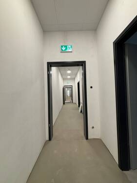 IMG_4147 - 