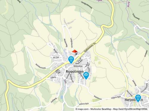 Bild 3 - Grundstück in Bad Säckingen / Rippolingen