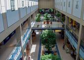 für Shopping-Fans - 