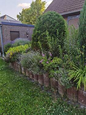 Terrasse - 4 Zimmer Einfamilienhaus zum Kaufen in Salzgitter-Bad
