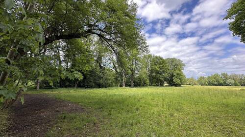 Aubinger Lohe - 