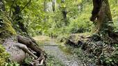 Aubinger Lohe - 
