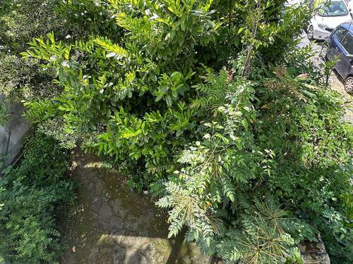 Terrasse Ladenlokal - 