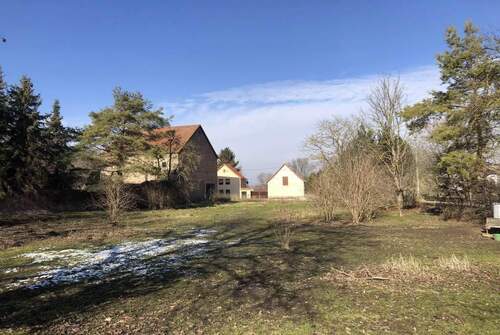 Bild1 - Könnern OT Hohenedlau: 1.983 qm Naturbaugrundstück für 1 bis 2 Häuser, baureif