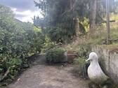 Garten (17) - 