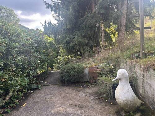 Garten (17) - 