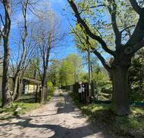 Eichenwald in Machern - 93.000,00 EUR Kaufpreis, in Machern (PLZ: 04827)