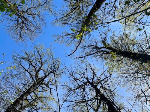 Bild 3 - Einfamilienhaus in Machern
