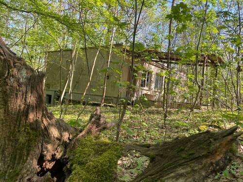 Bild 4 - Einfamilienhaus in Machern zum Kaufen