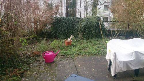 Garten - 1,5 Zimmerwohnung mit eigenem Garten