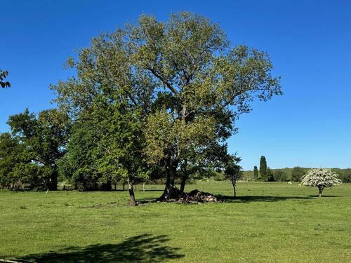 Weitblick - Grundstück in Potsdam
