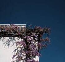 Wiesloch: gepflegtes Reihenendhaus auf Erbpachtgrundstück