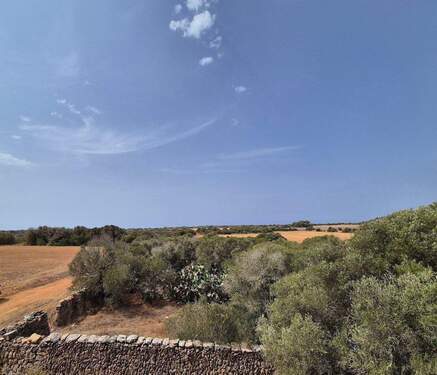 Grundstück_Teilansicht - Mallorca-Südküste.Großzügiges Fincagrundstück mit Altbestand in ruhiger und sonniger Lage. Worauf warten Sie noch.