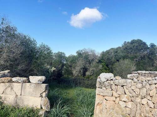 Hinterer Grundstücksteil_Teilansicht - Grundstück in Llucmajor