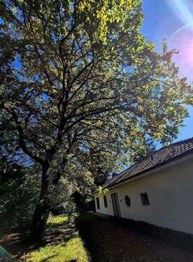 Teilansicht Grundstück - Grundstück zum Kaufen in Fürth