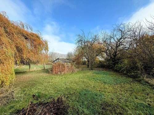Ruheoase im Grünen-separater Garten - 5 Zimmer Einfamilienhaus in Kammerforst
