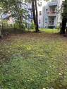 Hinterhof - 