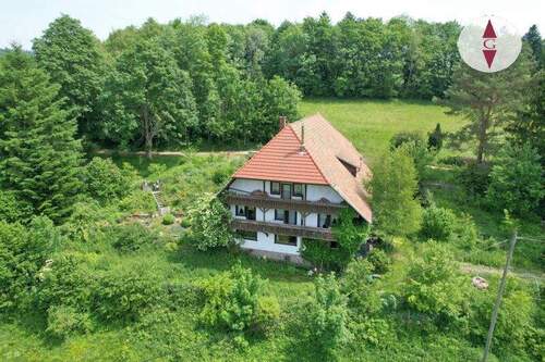 1-715 Fohrenbühl Hof 2 - 1 Zimmer Mehrfamilienhaus, Wohnhaus zum Kaufen in Hornberg