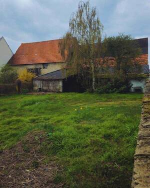 Garten (bebaubar) - Mehrfamilienhaus, Wohnhaus mit 280,00 m&sup2; in Hambrücken zum Kaufen