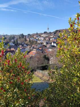 Traumhaft Wohnen ... - 1-2 FH + Bauplatz - 625.000,00&nbsp;EUR Kaufpreis, ca.&nbsp; 200,00&nbsp;m&sup2;&nbsp;Wohnfl&auml;che