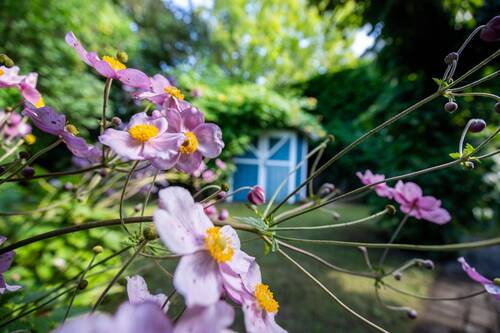 Bild 14 - 