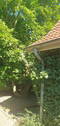Wohnhaus Detail - 