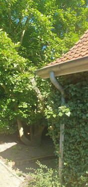 Wohnhaus Detail - 