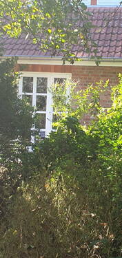 Garten Blick aufs Haus - 