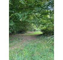 Traumgrundstück - 165.000,00&nbsp;EUR Kaufpreis, ca.&nbsp; 0,00&nbsp;m&sup2; in Gaggenau (PLZ: 76571) Winkel