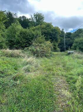 Foto 3.jpeg - Grundstück in Gaggenau