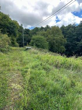 Foto 2.jpeg - Grundstück in Gaggenau zum Kaufen