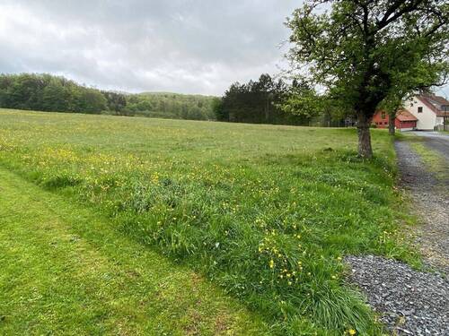 Außenansicht - Grundstück zum Kaufen in Hilders